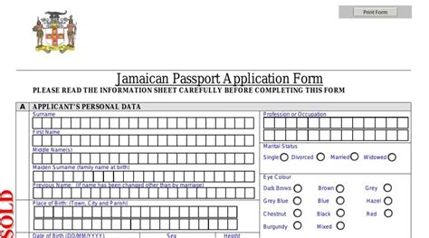 Jamaican Passport Application PDF Form - FormsPal