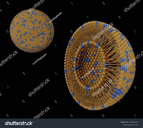 59 Vesicular Transport Images, Stock Photos & Vectors | Shutterstock