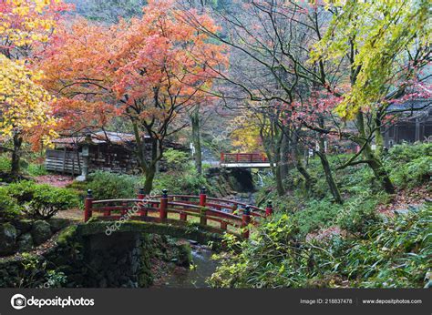 Japanese Bridge Autumn Maple Forest – Stock Editorial Photo © apetel #218837478