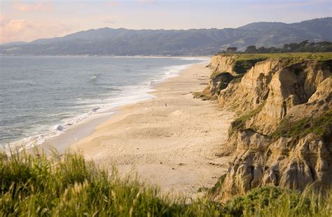 Are Dogs Allowed In Half Moon Bay Beach