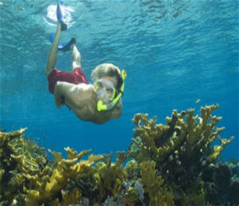 About Nassau Snorkeling | Bahamas Snorkeling Tours