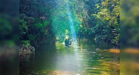 Amazing facts about the Amazon River we bet you didn’t know! | Times of India Travel