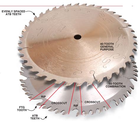 Essential Table Saw Blades | Popular Woodworking