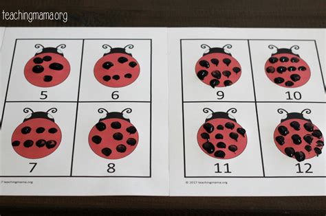 Ladybug Spots Counting Activity