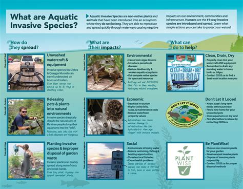 Aquatic Invasive Species | Columbia Power