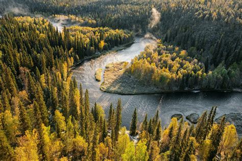 Boreal Forest Climate