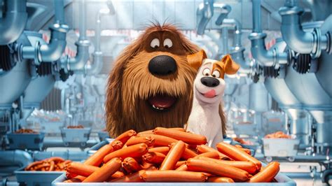 Max, Kevin Hart, film, movie, sausage, official, Illumination Entertainment, manufactures, Louis ...