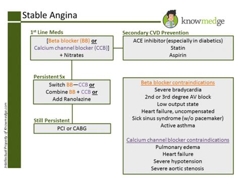 Topic Refresher: Medical Management of Stable Angina Pectoris : USMLE / Internal Medicine ABIM ...