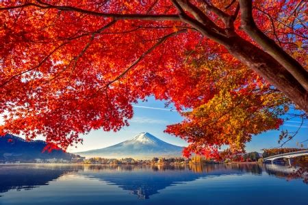 Japanese autumn - Mountains & Nature Background Wallpapers on Desktop Nexus (Image 2522266)