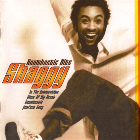 Shaggy - Boombastic Hits | Releases | Discogs