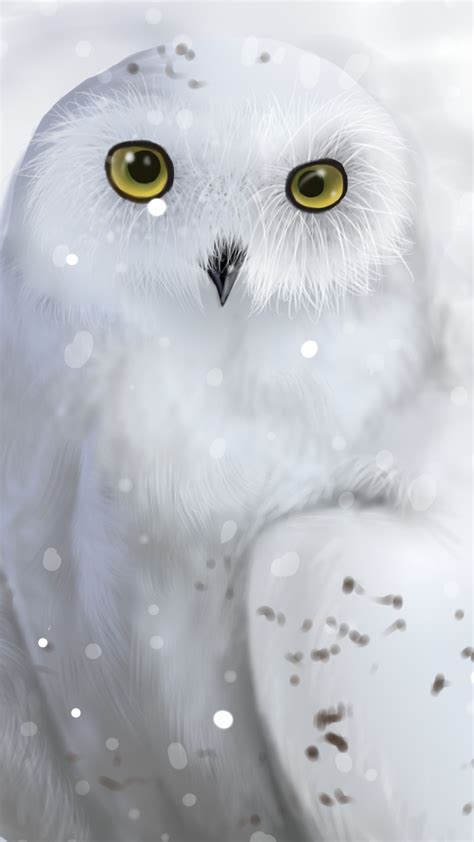 Aesthetic Owl Wallpaper