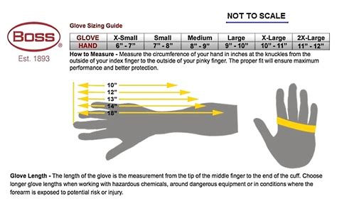 Nitrile Glove Size Chart - Images Gloves and Descriptions Nightuplife.Com