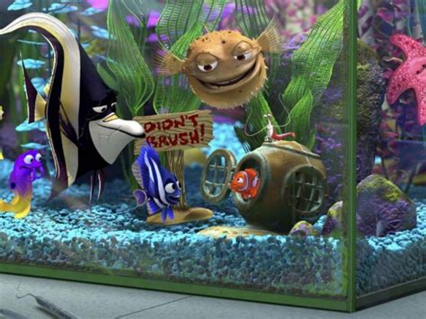 Immagini Alla ricerca di Nemo - L'acquario