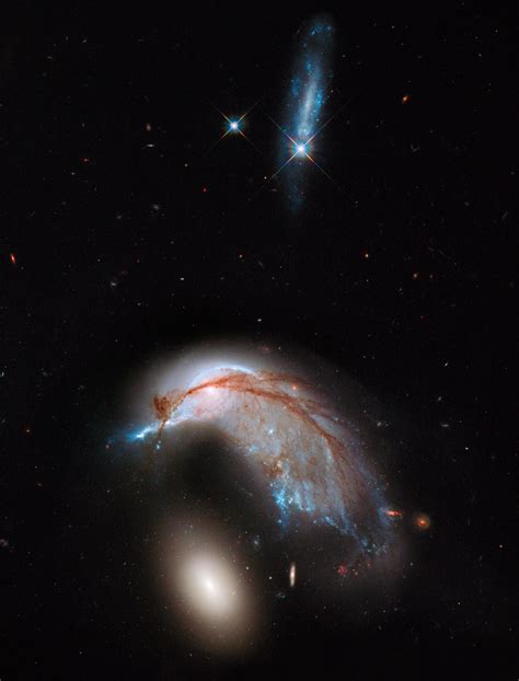 Hubble Views Interacting Galaxy Duo Arp 142