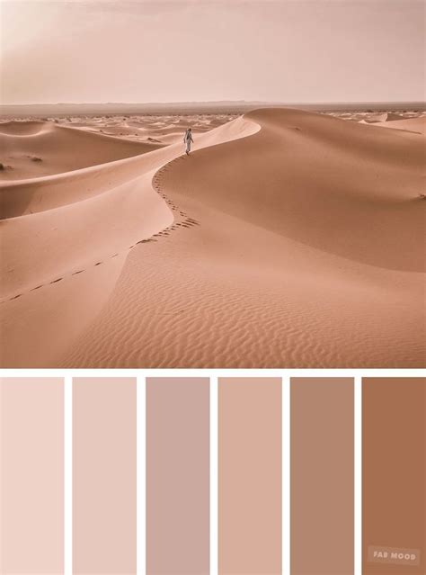 Wedding Colours, Wedding palette,wedding inspiration | Beige color palette, Tan color palette ...