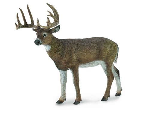 WHITE TAILED DEER - 4892900888323