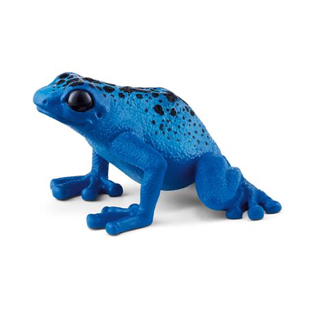 Blue Poison Dart Frog