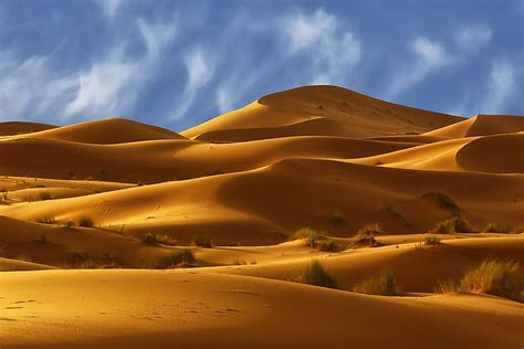 The Major Parts Of The Sahara Desert In Africa - WorldAtlas