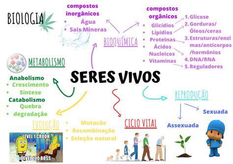 Mapa Mental De Los Seres Vivos Seres Vivos | Porn Sex Picture