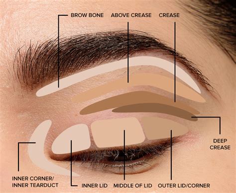 How to Blend Eyeshadow - Tips & Tricks - The Makeup List