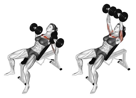 Best Upper Chest Exercises