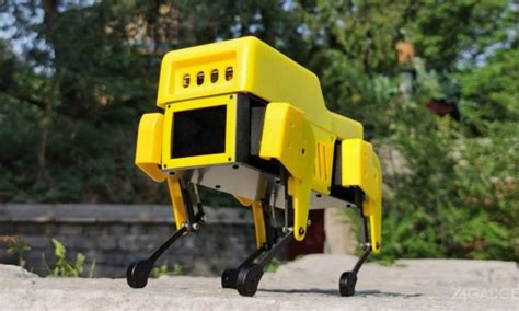 Mini Pupper compact dog-shaped robot