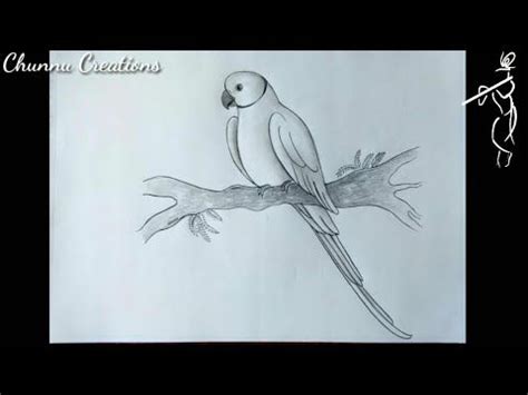 How to draw parrot sketch...|| Parrot drawing..|| Realistic Parrot sketch.. | Parrot drawing ...