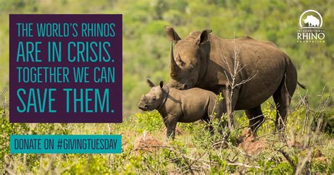 Today only - Double your impact and help us protect more rhinos. - International Rhino ...