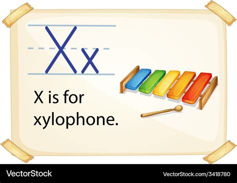 A letter x for xylophone Royalty Free Vector Image