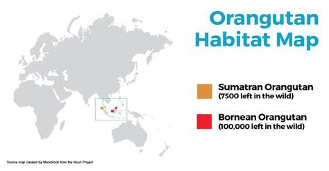 Orangutan Habitat Map | SEEtheWILD Wildlife Conservation