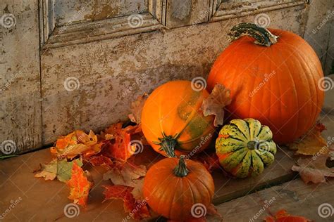 Pumpkins and gourds stock photo. Image of color, bold - 1233950