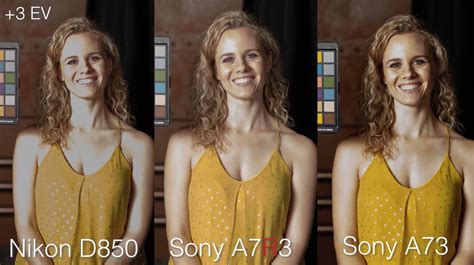 Shootout: Sony a7R III vs Sony a7 III vs Nikon D850