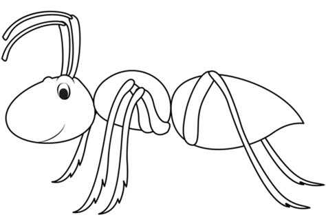 Ant coloring page | Free Printable Coloring Pages