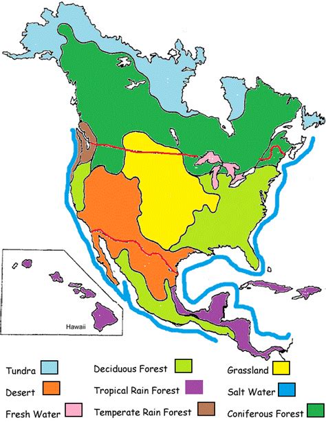 North America Biome Map