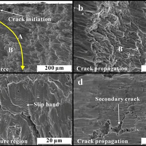 Fatigue fracture surface morphologies of specimen 2# (σ a = 350 MPa, N ...