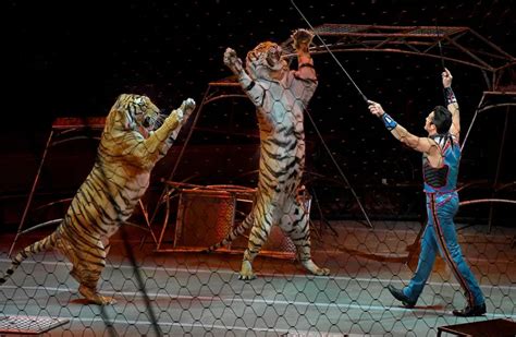 The 'Greatest Show on Earth' Is Coming Back—Without Circus Animals | Smithsonian