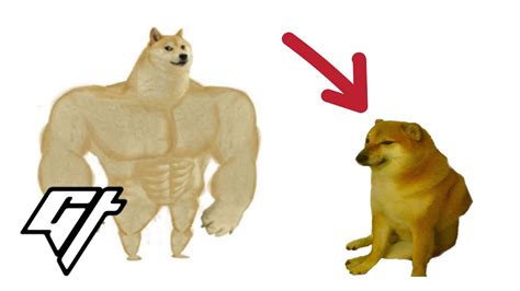 Doge Memes