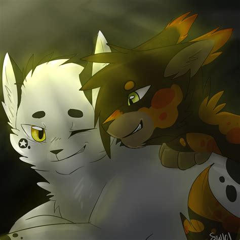 Blackstar x Sol | Warrior cats art, Warrior cats, Warrior cat memes