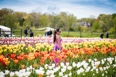 Tulip Festival with Lilly Pulitzer - Holland, MI Pt. 1 - Colors of Mei | Tulip festival, Flower ...