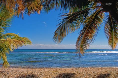 Beach at Patillas, Puerto Rico | Puerto rico island, Puerto rico, Beautiful islands