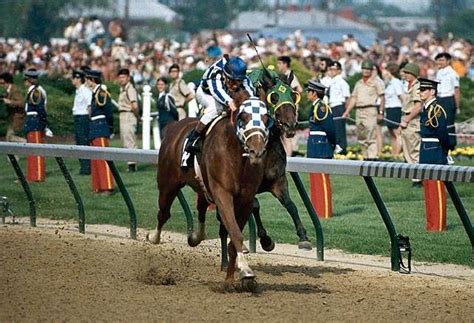 SECRETARIAT | Horses, Horse racing, Secretariat horse