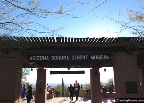 Is the Arizona-Sonora Desert Museum worth it? | Traveling Mooses