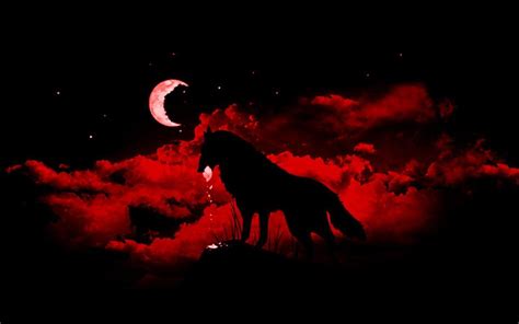 Blood Moon Wolf Wallpapers - Top Free Blood Moon Wolf Backgrounds - WallpaperAccess