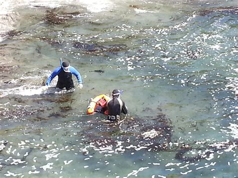 Trophy Abalone Diving at Sea Ranch and Mendonoma Area