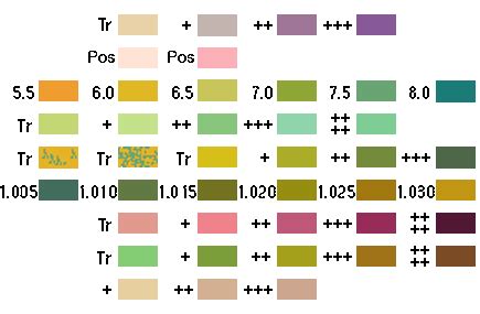 Urinalysis