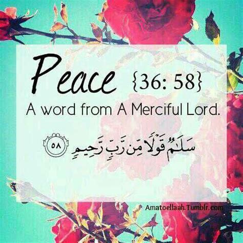 Quran Quotes About Peace. QuotesGram