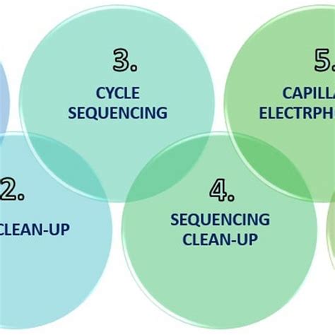 Sanger sequencing method work-flow chart. Approximately 5 µl PCR ...