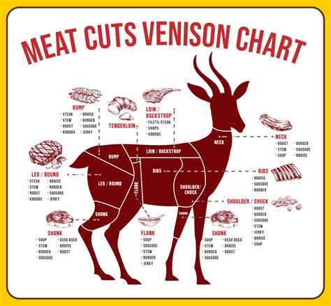 Butcher Cuts Of Meat Chart