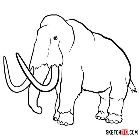 How to draw a Woolly mammoth | Extinct Animals | Easy animal drawings, Animal drawings sketches ...