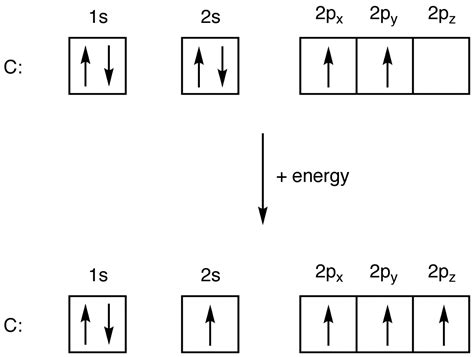 The Diagram Below Shows An Atom Of Carbon